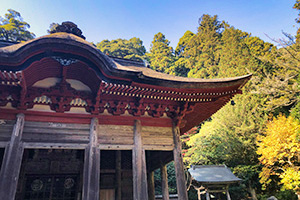 鰐淵寺