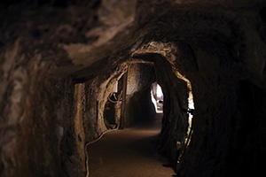 (世界遺産)石見銀山