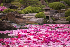由志園